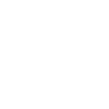 Execute Icon