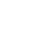 Licenced & Insured Icon