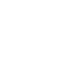 design Icon