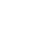 Public Liability Icon